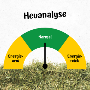 Heuanalyse