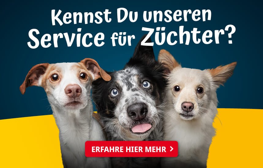 Josera Service für Hundezüchter